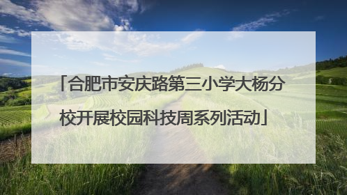 合肥市安庆路第三小学大杨分校开展校园科技周系列活动