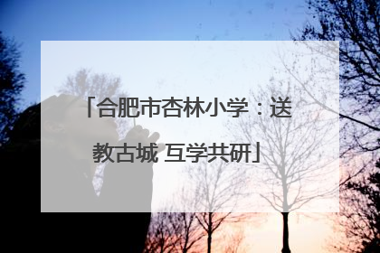 合肥市杏林小学：送教古城 互学共研