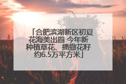 合肥滨湖新区初夏花海美出圈 今年新种植草花、播撒花籽约6.5万平方米
