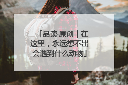 品读·原创｜在这里，永远想不出会遇到什么动物