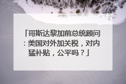 哥斯达黎加前总统顾问：美国对外加关税，对内猛补贴，公平吗？