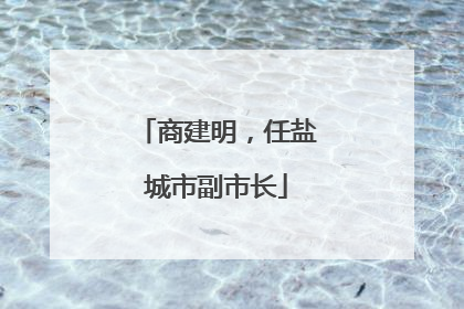 商建明，任盐城市副市长