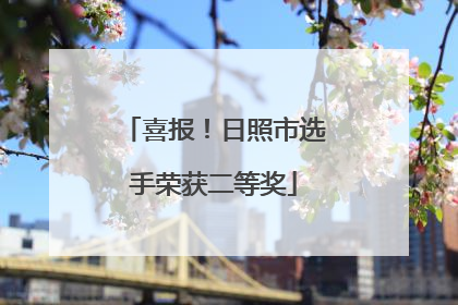 喜报！日照市选手荣获二等奖