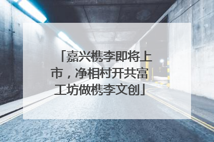 嘉兴槜李即将上市，净相村开共富工坊做槜李文创