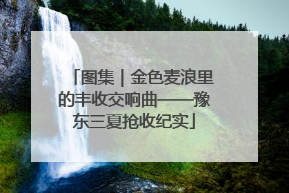 图集｜金色麦浪里的丰收交响曲——豫东三夏抢收纪实