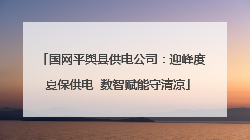 国网平舆县供电公司：迎峰度夏保供电  数智赋能守清凉