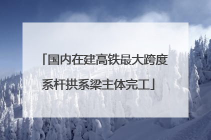 国内在建高铁最大跨度系杆拱系梁主体完工