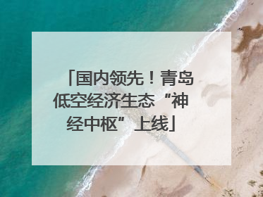 国内领先！青岛低空经济生态“神经中枢”上线
