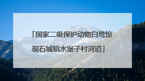 国家二级保护动物白鹭惊现石城镇水堡子村河道