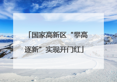 国家高新区“攀高逐新”实现开门红