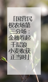 国营民权农场第三分场：金穗卷起千层浪 小麦收获正当时