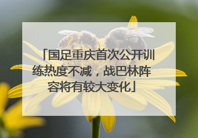 国足重庆首次公开训练热度不减，战巴林阵容将有较大变化