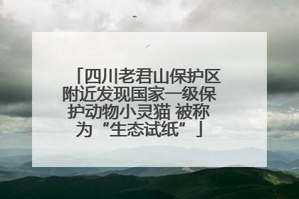 四川老君山保护区附近发现国家一级保护动物小灵猫 被称为“生态试纸”
