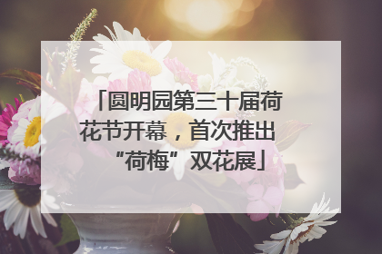 圆明园第三十届荷花节开幕，首次推出“荷梅”双花展