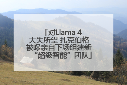 对Llama 4大失所望 扎克伯格被曝亲自下场组建新“超级智能”团队