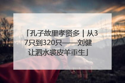 孔子故里孝贤多｜从37只到320只——刘健让泗水裘皮羊重生