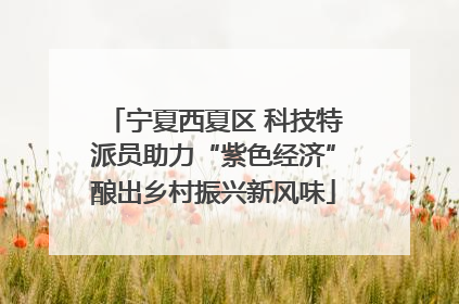 宁夏西夏区 科技特派员助力“紫色经济”酿出乡村振兴新风味