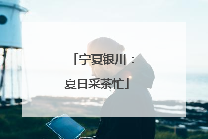 宁夏银川：夏日采茶忙