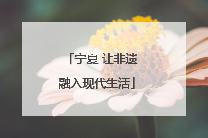 宁夏 让非遗融入现代生活