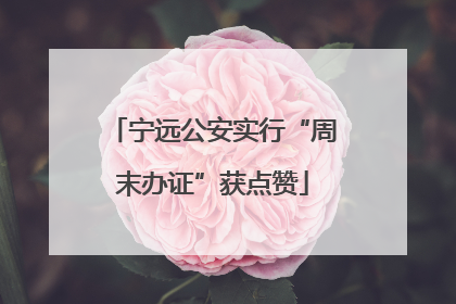 宁远公安实行“周末办证”获点赞