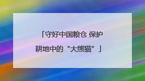 守好中国粮仓 保护耕地中的“大熊猫”