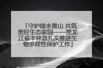 守护绿水青山 共筑美好生态家园——黑龙江省丰林县扎实推进生物多样性保护工作