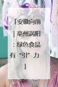 安徽向前｜亳州涡阳：绿色食品有“引”力