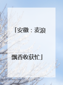 安徽：麦浪飘香收获忙