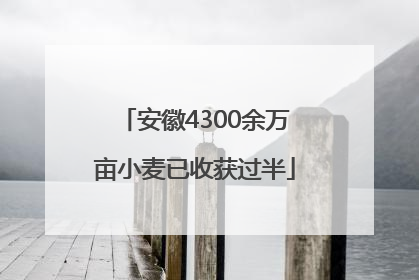 安徽4300余万亩小麦已收获过半
