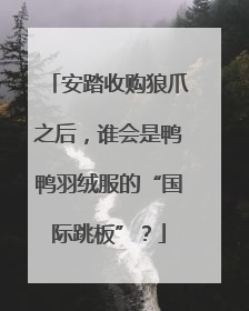 安踏收购狼爪之后，谁会是鸭鸭羽绒服的“国际跳板”？