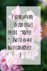 安阳内黄：支部书记外出“取经”探寻乡村振兴新路径