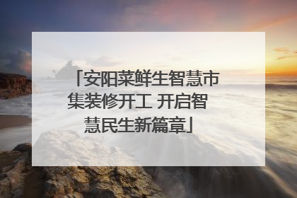 安阳菜鲜生智慧市集装修开工 开启智慧民生新篇章