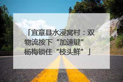 宜章县水浸窝村：双物流按下“加速键” 杨梅锁住“枝头鲜”