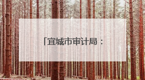 宜城市审计局：护航红薯育苗灌溉项目 助力农业增效农民增收
