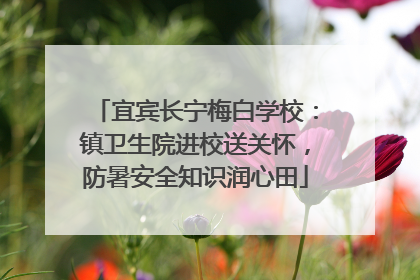 宜宾长宁梅白学校：镇卫生院进校送关怀，防暑安全知识润心田