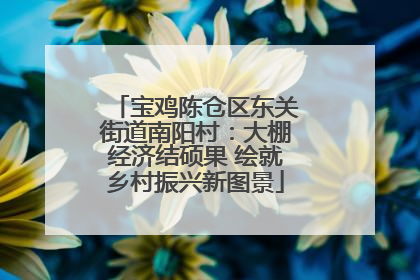 宝鸡陈仓区东关街道南阳村：大棚经济结硕果 绘就乡村振兴新图景
