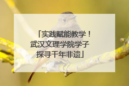 实践赋能教学！武汉文理学院学子探寻千年非遗