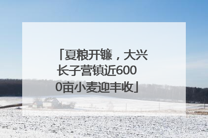 夏粮开镰，大兴长子营镇近6000亩小麦迎丰收