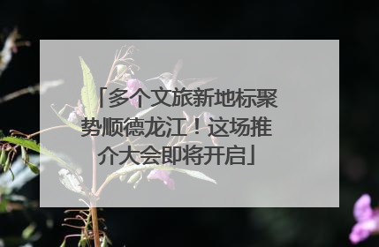 多个文旅新地标聚势顺德龙江！这场推介大会即将开启