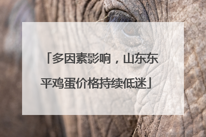 多因素影响，山东东平鸡蛋价格持续低迷
