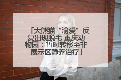 大熊猫“渝爱”反复出现脱毛 重庆动物园：暂时转移至非展示区静养治疗