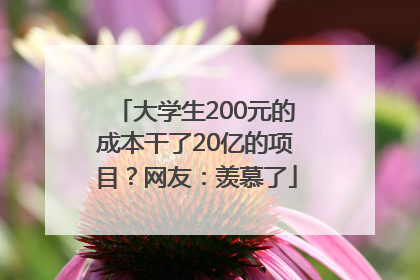大学生200元的成本干了20亿的项目？网友：羡慕了