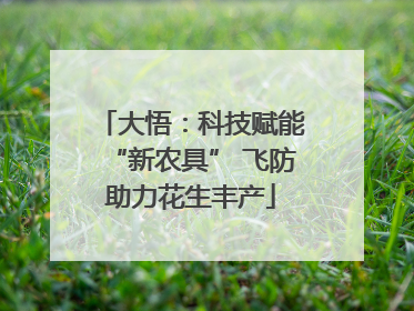 大悟：科技赋能“新农具” 飞防助力花生丰产