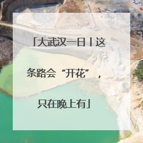 大武汉一日丨这条路会“开花”，只在晚上有