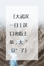 大武汉一日︱汉口老街上新，太“豆”了