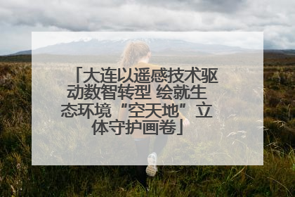大连以遥感技术驱动数智转型 绘就生态环境“空天地”立体守护画卷