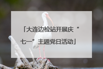 大连边检站开展庆“七一”主题党日活动