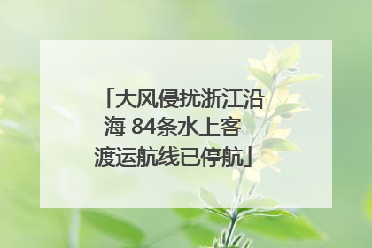 大风侵扰浙江沿海 84条水上客渡运航线已停航