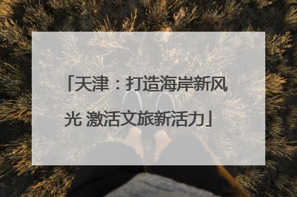 天津：打造海岸新风光 激活文旅新活力