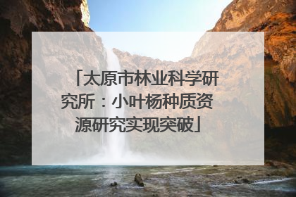 太原市林业科学研究所：小叶杨种质资源研究实现突破